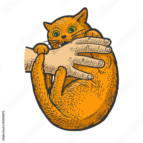 cat bites hand color sketch engraving vector illustration. T-shirt apparel print design. Scratch board imitation. Black and white hand drawn image.