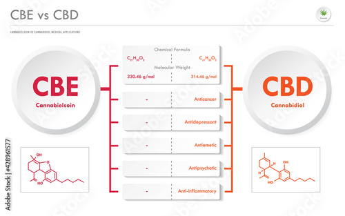 CBE vs CBD, Cannabielsoin vs Cannabidiol horizontal business infographic illustration about cannabis as herbal alternative medicine and chemical therapy, healthcare medical vector.