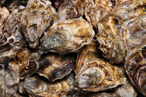 Fresh closed oysters as background, top view © New Africa