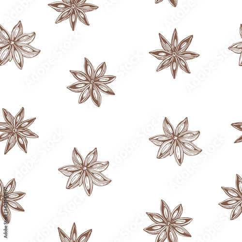 Star anise.Vector  pattern.