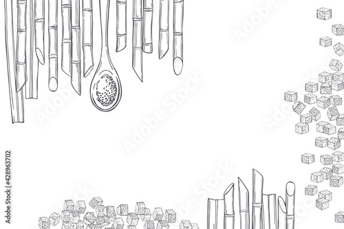 Sugarcane. Vector background.