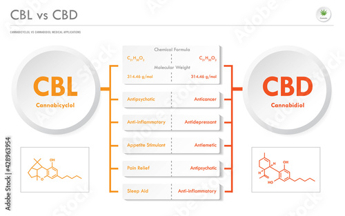 CBL vs CBD, Cannabicyclol vs Cannabidiol horizontal business infographic illustration about cannabis as herbal alternative medicine and chemical therapy, healthcare medical vector.