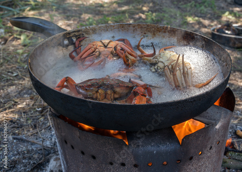 Live crabs in pan in campfire smoke. Cooking seafood on an open fire at the beach by the sea. Crabs in a pot. Chinese cuisine. Sea food is cooked on a campfire