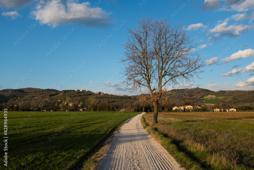 Fototapeta premium campagna al tramonto