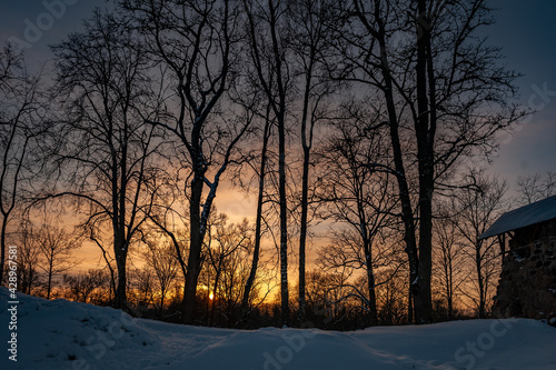 Silhouette of trees at sunset. Winter landscape. Selective focus. © Regina