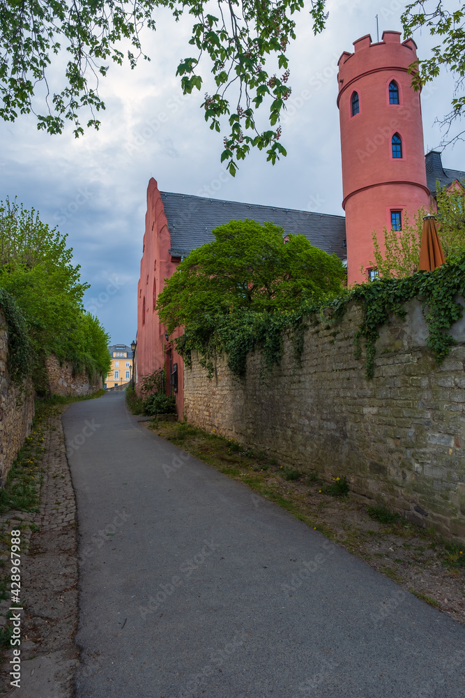 View along an alley past the Rheinberg Castle in Eltville am Rhein / Germany 