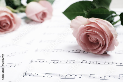 Fototapeta Naklejka Na Ścianę i Meble -  Beautiful roses on sheet with music notes, closeup. Space for text