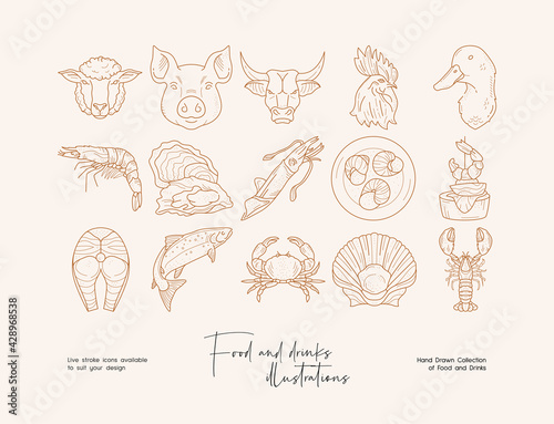Set of hand drawn line art illustrations of food. Suit to brand identity, logo design