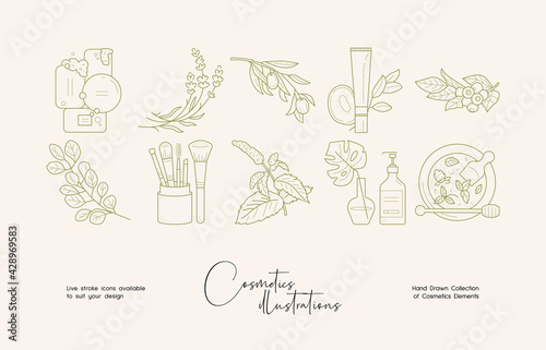 Set of hand drawn line art illustrations of cosmetics and flowers. Suit to brand identity, logo design
