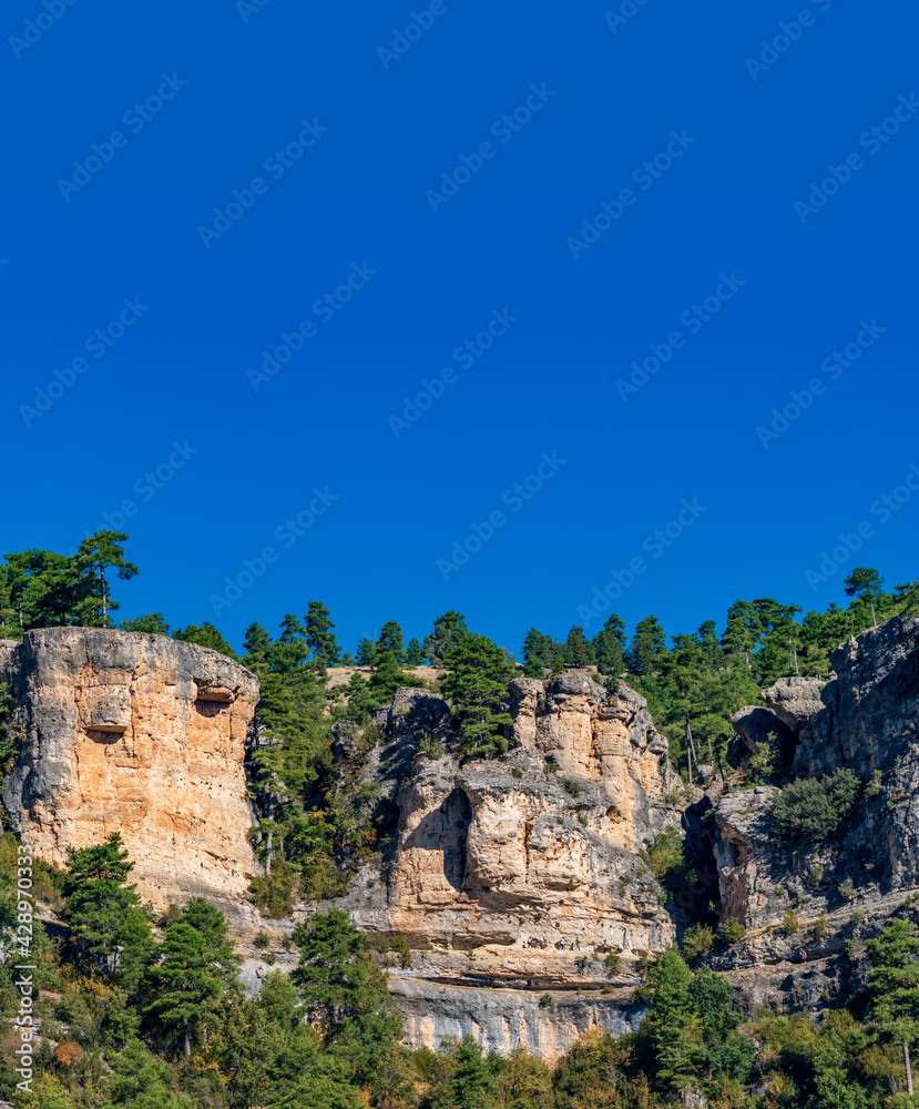 Vertical rocky cliffs and pine trees under blue sky