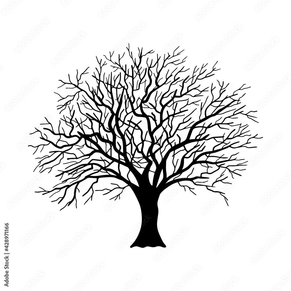 tree silhouette, isolated on white background