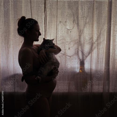 Silhouette of a woman during pregnancy with a cat in her hands. Concept of problems with a pet due to toxoplasmosis photo