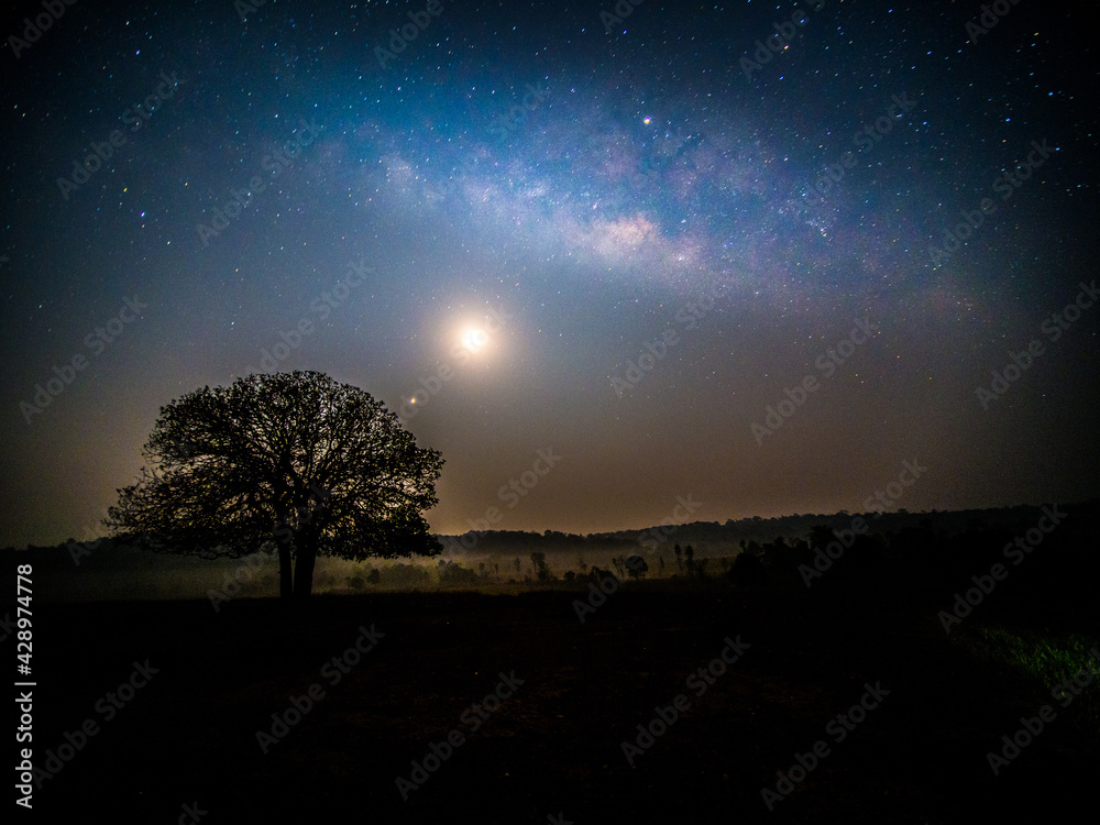 Starry sky with blue Milky Way. Night landscape with alone tree on the mountain peak against colorful milky way. Amazing galaxy. Nature background with beautiful universe. Astrophotography