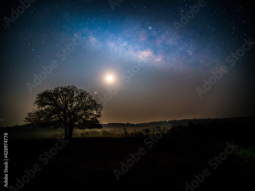 Starry sky with blue Milky Way. Night landscape with alone tree on the mountain peak against colorful milky way. Amazing galaxy. Nature background with beautiful universe. Astrophotography