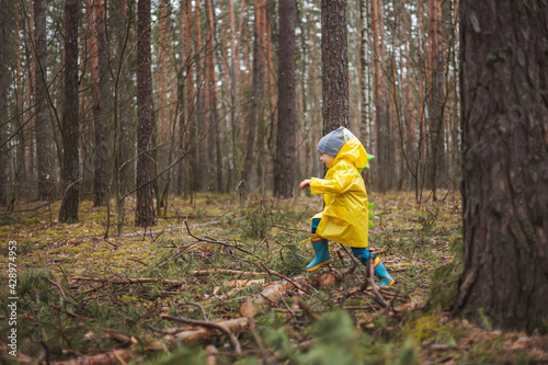 Child in the yellow raincoat walks in the forest after rain and fun