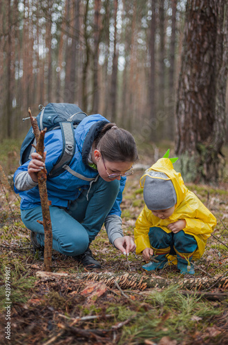 Mom and child walking in the forest after the rain in raincoats together, looking at mushrooms on a fallen tree and talking