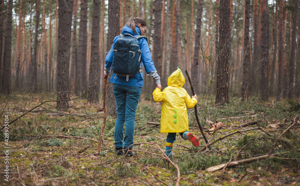 Mom and child walking in the forest after rain in raincoats with wooden sticks in hands, back view