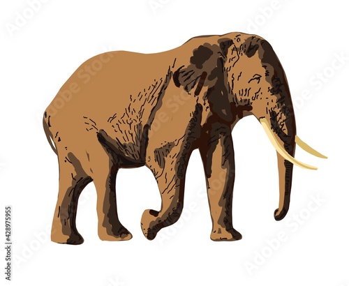 Realistic elephant isolated on white background. Hand-drawn African animal. Savannah animals