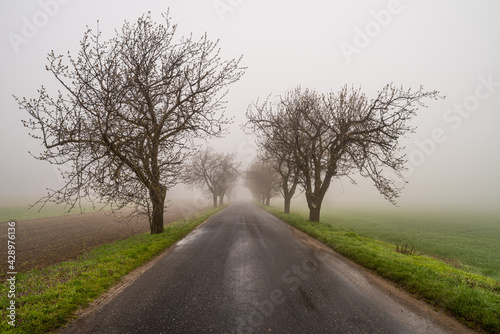 szosa asfaltowa we mgle na wsi