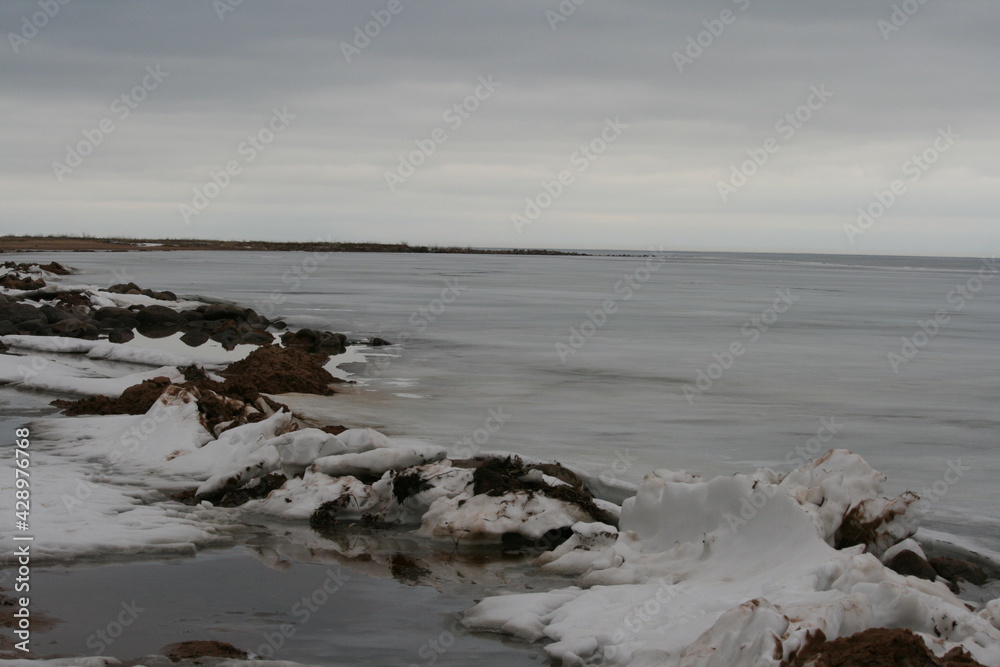 Obraz premium Ostseestrand im Winter 1