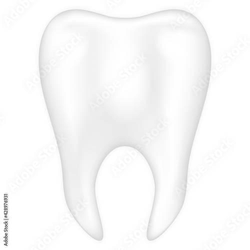 Realistic teeth isolated on white background. dental health and hygiene concept. vector illustration..
