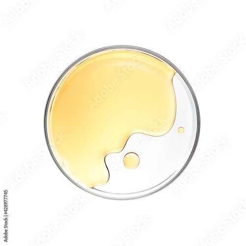 Honey in petri dish over white background - flat lay