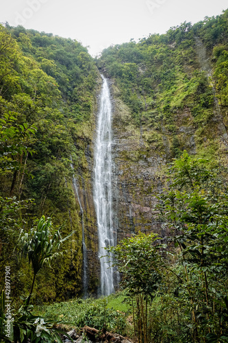 Wasserfall Akaka falls state park