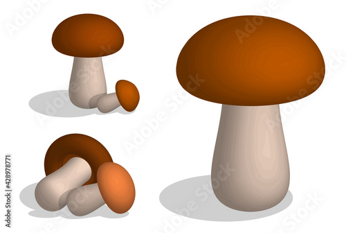 set of 3d edible mushrooms. Mushroom soup. Vegetarian restaurant menu. Minimalistic vector