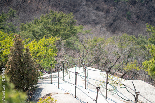 hiking trail on the top of the mountain