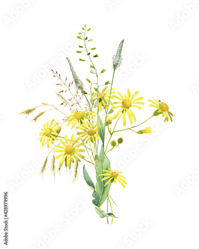 Watercolor bouquet of yellow daisies and herbs