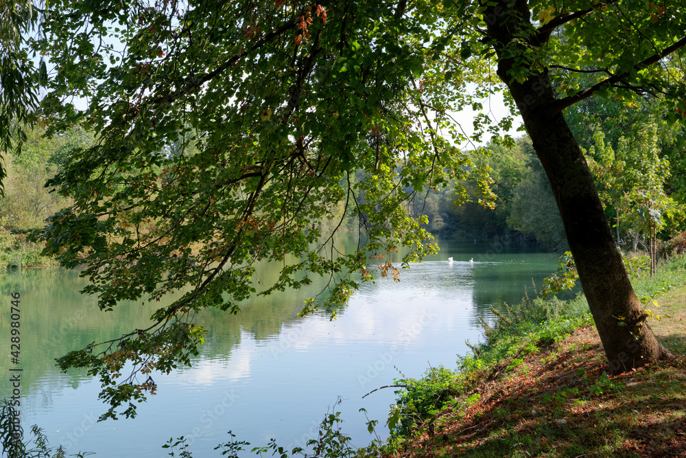Marne river in Seine et Marne country. Condé-Sainte-Libiaire village Marne river in Seine et Marne country. Condé-Sainte-Libiaire village