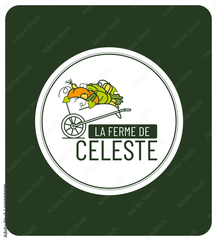 identité visuelle pour vente directe à la ferme légumes et fruits de saison, logo, tampon, motif, sac, étiquette, mockup, 