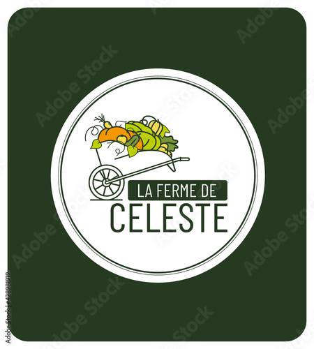 identité visuelle pour vente directe à la ferme légumes et fruits de saison, logo, tampon, motif, sac, étiquette, mockup, 