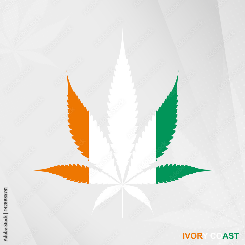 Flag of Ivory Coast in Marijuana leaf shape. The concept of legalization Cannabis in Ivory Coast.