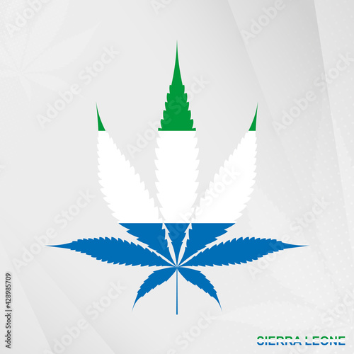 Flag of Sierra Leone in Marijuana leaf shape. The concept of legalization Cannabis in Sierra Leone.
