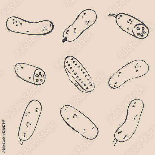 Collage of nine vegetables. Set of hand drawn cucumbers. Minimalist charcoal outlines. Isolated on beige. Illustrations for grocery stores, cover design, interiors, advertisements, grocery stores.