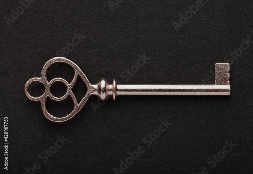 Decorative metal key on the empty black background © strannik_fox