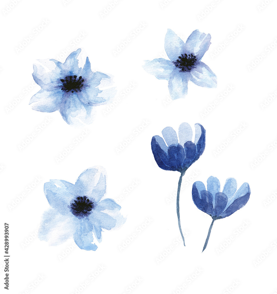 Cute and delicate watercolor set with different blue flowers isolated on white background