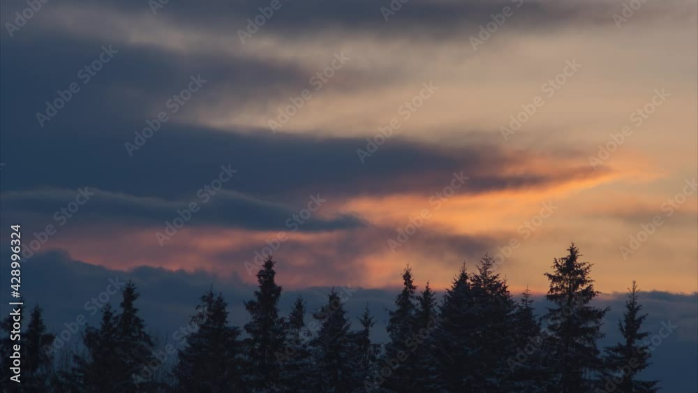 Winter forest in the snow on the background of sunset in the mountains Winter forest in the snow on the background of sunset in the mountains
