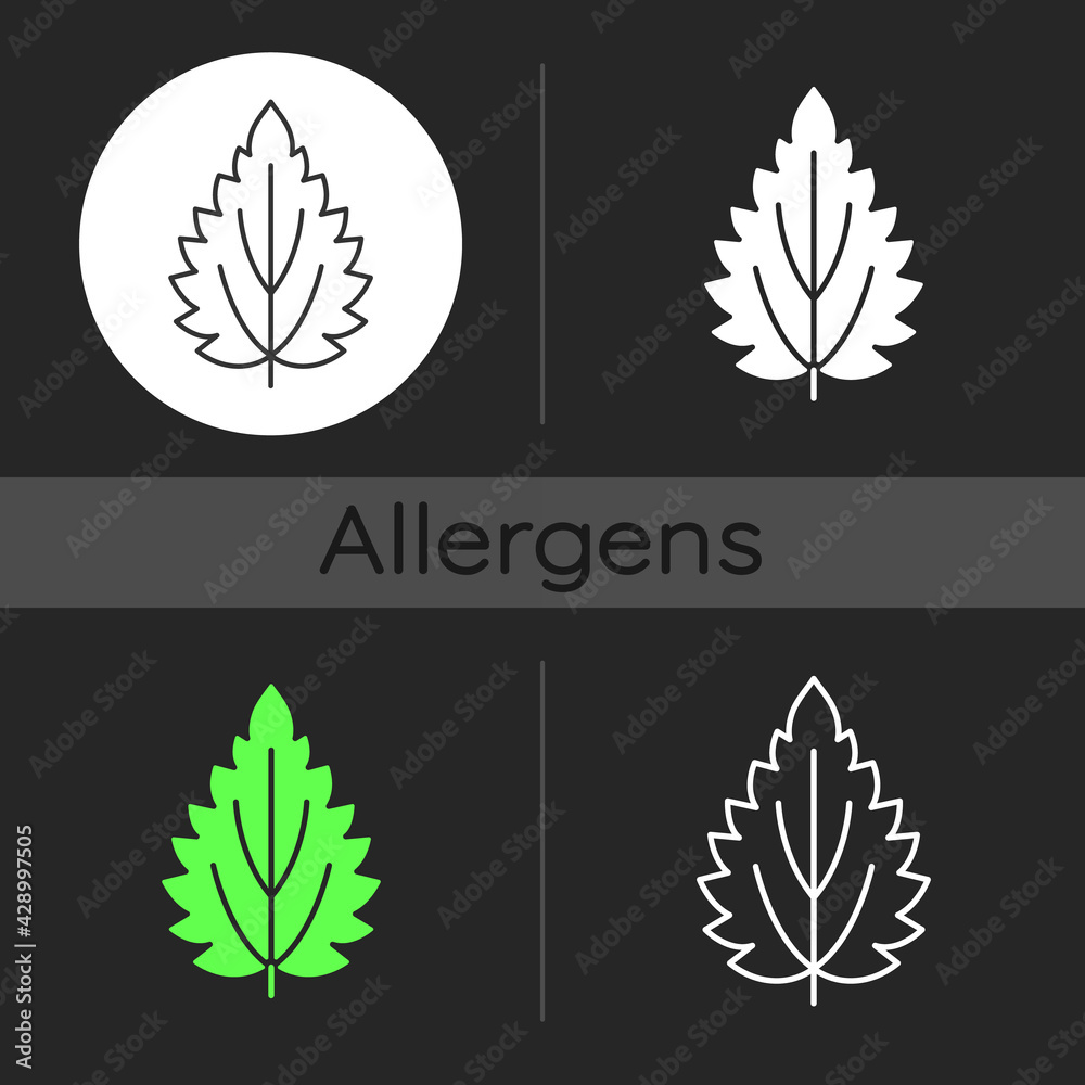Nettle dark theme icon. Alternative medicine. Herbal ingredient for homeopathy. Seasonal allergy for plant. Linear white, simple glyph and RGB color styles. Isolated vector illustrations