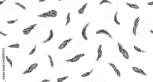 Feathers on white background. Hand drawn sketch style. 