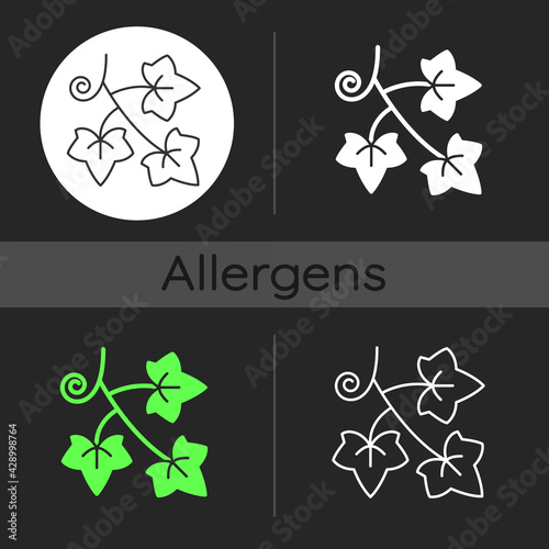 English ivy dark theme icon. Hedera helix, vine. Crawling flowering plant. Cause of allergic reaction, allergen. Linear white, simple glyph and RGB color styles. Isolated vector illustrations