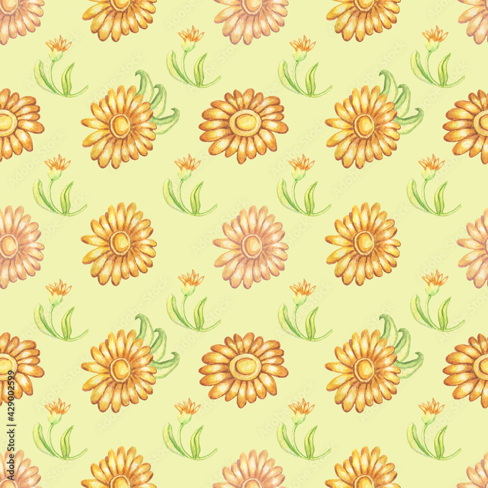 Watercolor seamless pattern with calendula isolated on yellow background.Good for wrapping paper, dresses, napkins, wallpaper,design ,fabric. Watercolor seamless pattern with calendula isolated on yellow background.Good for wrapping paper, dresses, napkins, wallpaper,design ,fabric.
