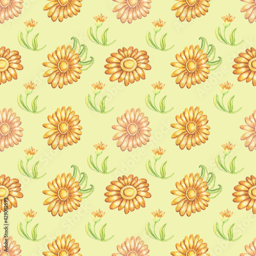Watercolor seamless pattern with calendula isolated on yellow background.Good for wrapping paper, dresses, napkins, wallpaper,design ,fabric. 