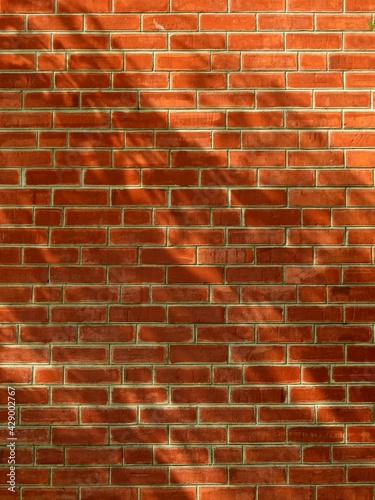 shadow of leaf on brick wall texture