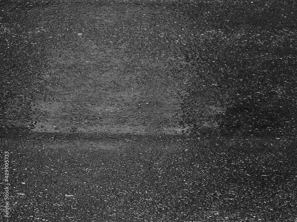 Fototapeta premium texture of wet black asphalt road after rain