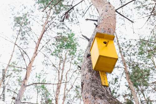 birdhouse, birdhouse, wooden birdhouse 