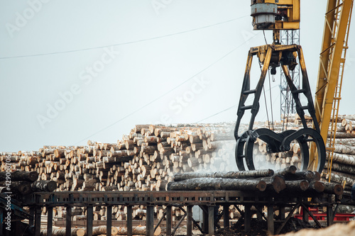 A gantry crane grabs several logs and drags them onto the factory conveyor. industrial cargo transportation automated labor