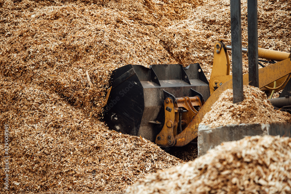 the excavator loads wood chips. the large bucket of the conveyor loads