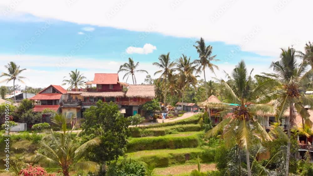 Aerial view of village in Bali, Indonesia. Rural, palms, houses, blue sky, holidays, calm, tranquil / 4K Video Footage Aerial view of village in Bali, Indonesia. Rural, palms, houses, blue sky, holidays, calm, tranquil / 4K Video Footage
